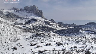 Tulove grede pod snježnim pokrivačem Tulove grede pod snježnim pokrivačem