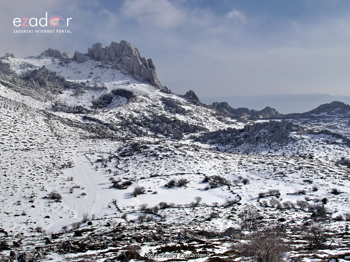 Tulove grede pod snježnim pokrivačem Tulove grede pod snježnim pokrivačem