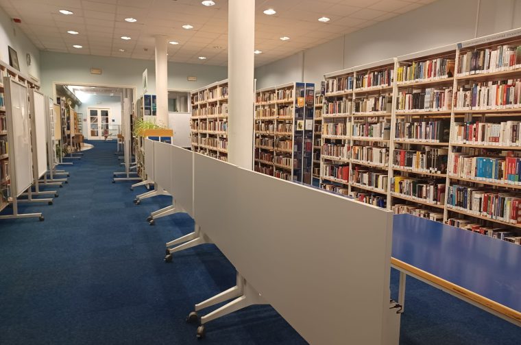 Revizija fonda gkzd