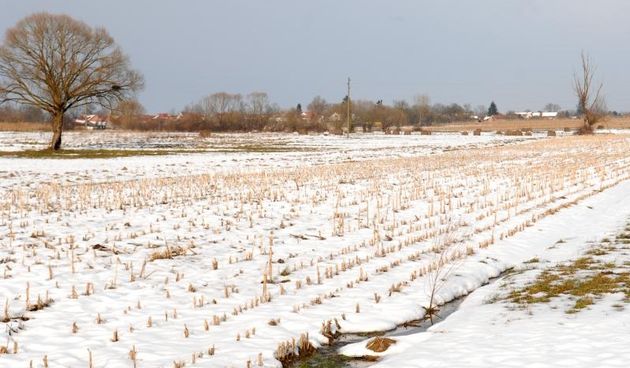Bilogorska polja i oranice prekrivene snijegom. Photo: Damir Spehar/PIXSELL