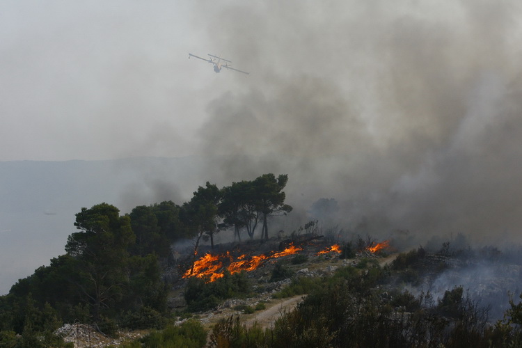 Split 140711.
Veliki pozar izbio je na otoku Bracu.
Foto: Vladimir Dugandzic / CROPIX Split 140711.
Veliki pozar izbio je na otoku Bracu.
Foto: Vladimir Dugandzic / CROPIX