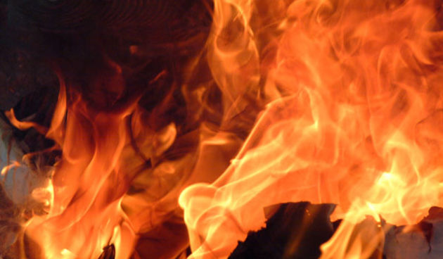 Vatra – plamen (Foto: ncsu.edu)