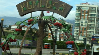 OLYMPUS DIGITAL CAMERA OLYMPUS DIGITAL CAMERA