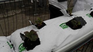 OLYMPUS DIGITAL CAMERA OLYMPUS DIGITAL CAMERA