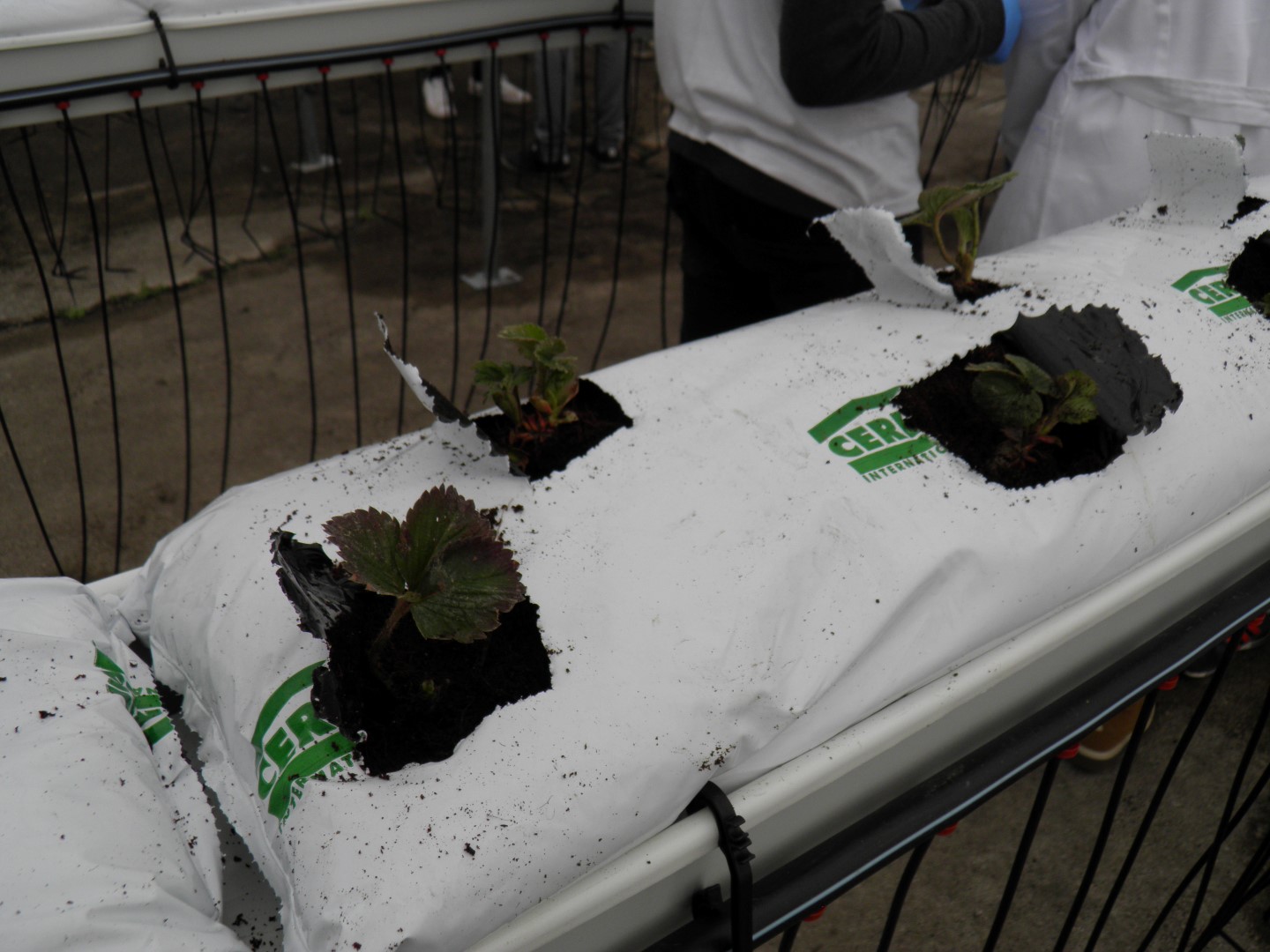 OLYMPUS DIGITAL CAMERA OLYMPUS DIGITAL CAMERA