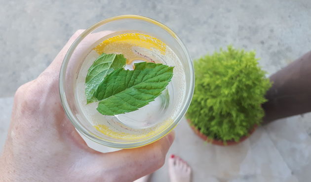 Limunada menta gin tonic ljeto pice alkohol