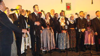 Koncert u Briševu Koncert u Briševu