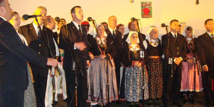 Koncert u Briševu Koncert u Briševu