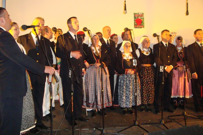 Koncert u Briševu Koncert u Briševu