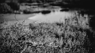 Crno bijela bajka na Kraljičinoj plaži, foto: Iva Perinčić