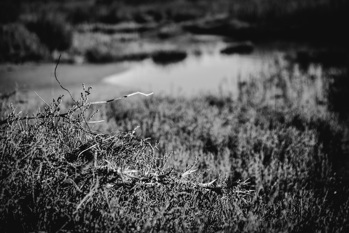 Crno bijela bajka na Kraljičinoj plaži, foto: Iva Perinčić
