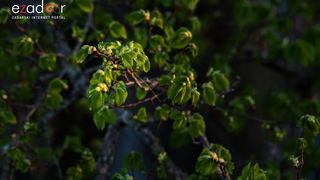 Nedjeljno svitanje na Vranskom jezeru Nedjeljno svitanje na Vranskom jezeru