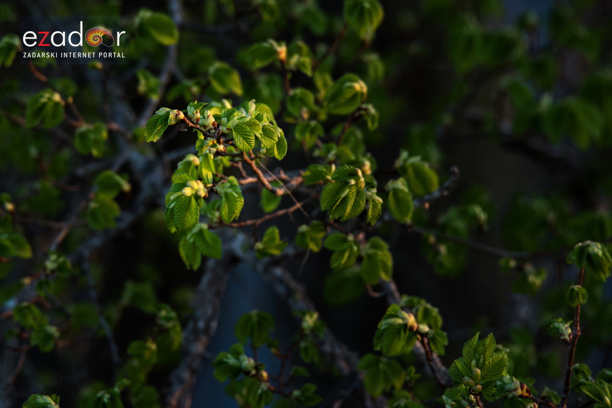 Nedjeljno svitanje na Vranskom jezeru Nedjeljno svitanje na Vranskom jezeru