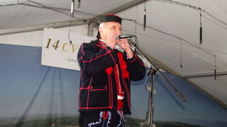 14. Cvitarijada u Nadinu