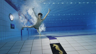 SC Višnjik: Podvodna izložba ronilačkog kluba “Roko” SC Višnjik: Podvodna izložba ronilačkog kluba “Roko”