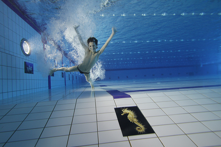 SC Višnjik: Podvodna izložba ronilačkog kluba “Roko” SC Višnjik: Podvodna izložba ronilačkog kluba “Roko”