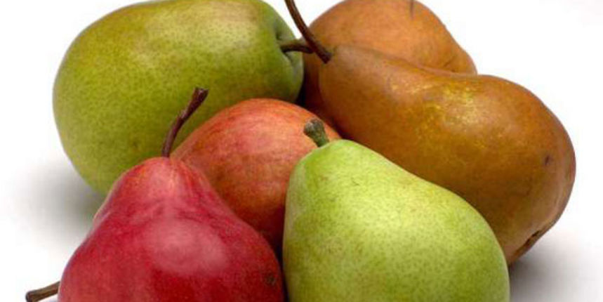 Kruška, foto: femina.hr