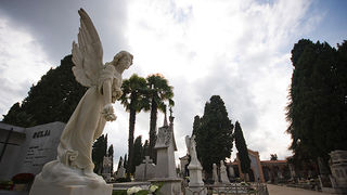 Gradsko groblje uoči blagdana Svih svetih (foto:Saša Čuka) Gradsko groblje uoči blagdana Svih svetih (foto:Saša Čuka)