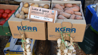 Održan sajam “Luka i igara”