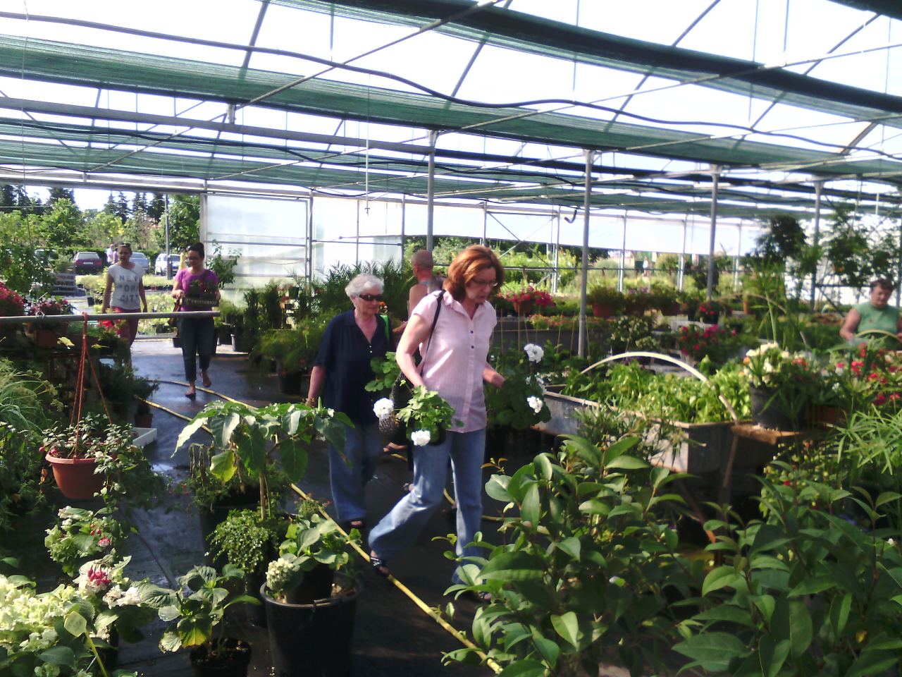 Danas, kako je tvrtka Nasadi d.o.o. i najavila, u rasadniku Cerodol na Žmirićima od 09:00 do 11:00 sati građanima su se dijelile sadnice sezonskog cvijeća. Danas, kako je tvrtka Nasadi d.o.o. i najavila, u rasadniku Cerodol na Žmirićima od 09:00 do 11:00 sati građanima su se dijelile sadnice sezonskog cvijeća.