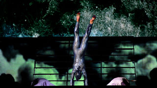 Lord of the dance, foto:Iva Perinčić Lord of the dance, foto:Iva Perinčić