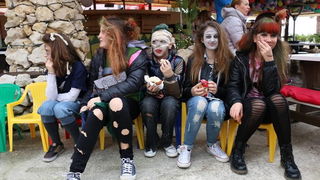 Virski karnevalić 2016. Virski karnevalić 2016.