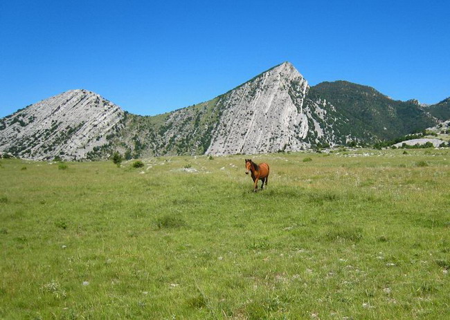 Velebit: Konji u Libinju