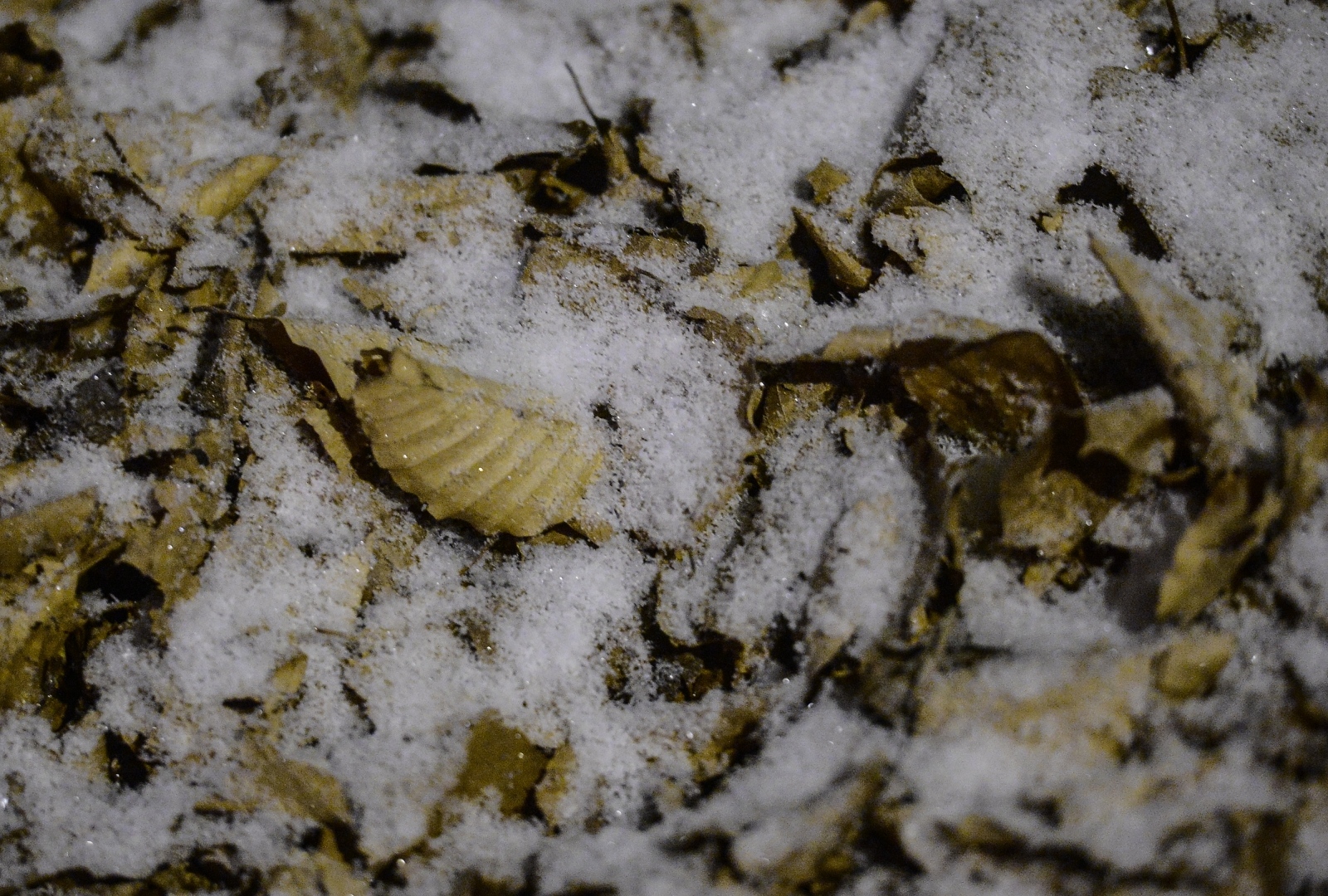 Prvi ovogodišnji snijeg zabjelio je Sljeme