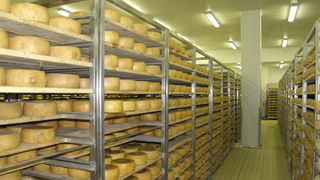 Otvaranje novog pogona Paske sirane