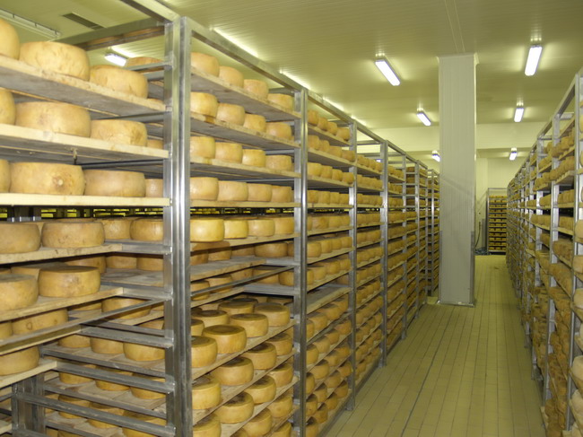 Otvaranje novog pogona Paske sirane