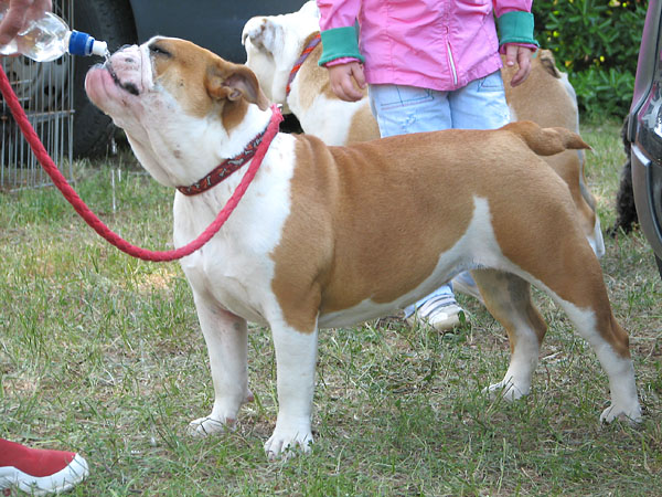 Image 1171053 (auto)