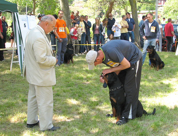 Image 1171041 (auto)