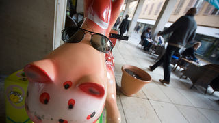 Đir po gradu (sa sunčanim naočalama) 7. studenog 2011, Foto: Saša Čuka