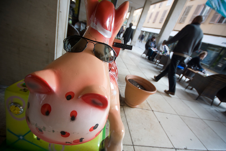 Đir po gradu (sa sunčanim naočalama) 7. studenog 2011, Foto: Saša Čuka