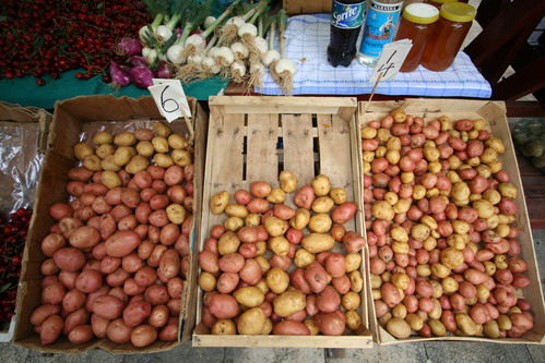 Image 1203809 (auto)