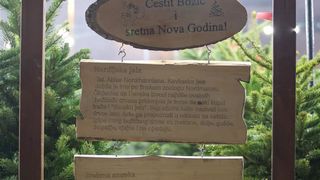 Prodaja božićnih jelki u Zadru Prodaja božićnih jelki u Zadru