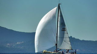 “Zadarska koka”: Regata za sve generacije snimljena iz “koke” “Zadarska koka”: Regata za sve generacije snimljena iz “koke”