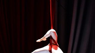 Circo Art u HNK Zadar izveo predstavu “Povratak u prirodu”