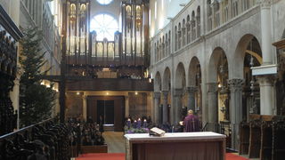 Nove orgulje u katedrali Svete Stosije u Zadru, Foto: Darko Dilber