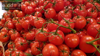 Otvorena obnovljena trgovina SPAR u centru Supernova Zadar