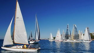 Regata Zadarska Koka 2015. Regata Zadarska Koka 2015.