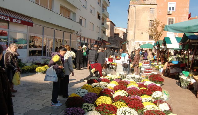 Krizanteme, cvijeće na tržnici