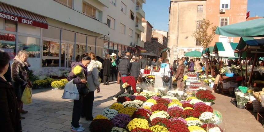 Krizanteme, cvijeće na tržnici Krizanteme, cvijeće na tržnici