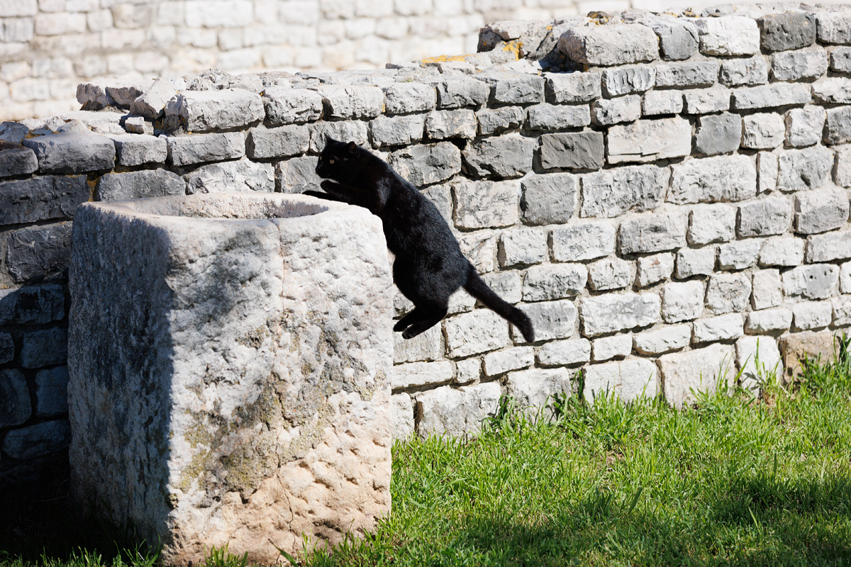 Đir po gradu, 25. ožujka 2025.