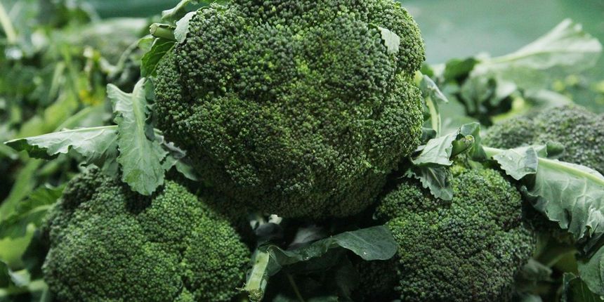 Kupusnjače – brokula, špinat, karfiol, kelj – sprječavaju taloženje masti u jetri.