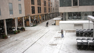 Snijeg u Zadru, 17. prosinca 2009, Foto: Saša Čuka