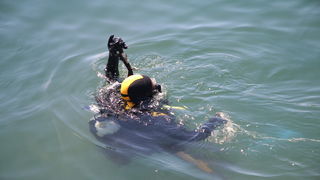 Ekološka akcija “Daj ruku za Jazine” Ekološka akcija “Daj ruku za Jazine”