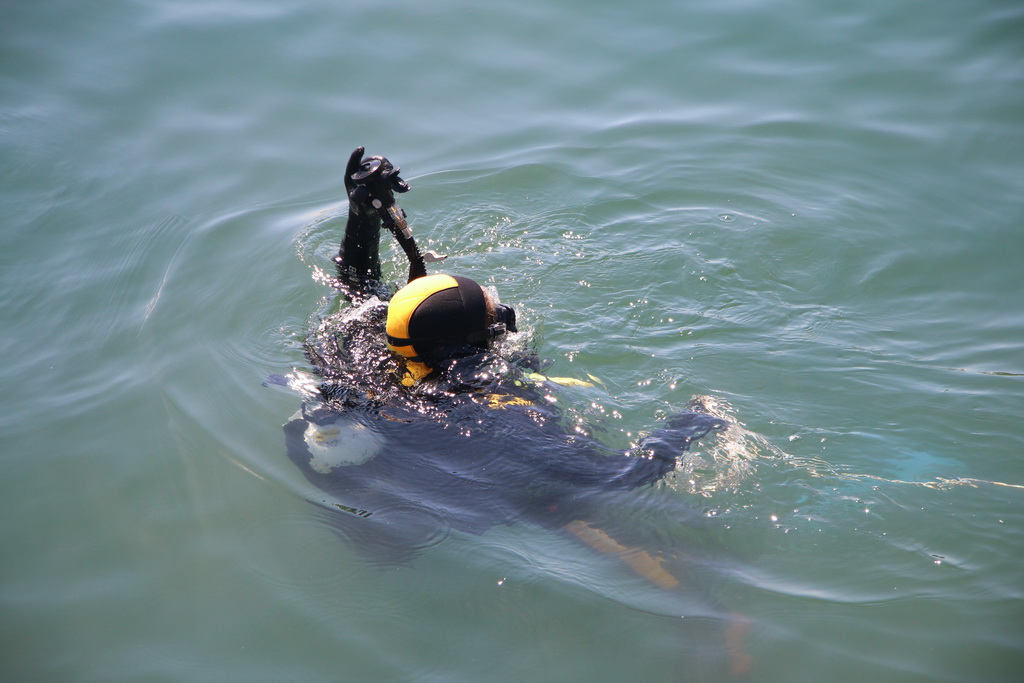 Ekološka akcija “Daj ruku za Jazine” Ekološka akcija “Daj ruku za Jazine”