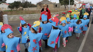 Virski karnevalić 2016. Virski karnevalić 2016.