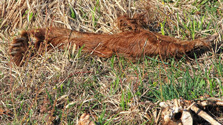 Izlet u Libinje 6. travnja 2011, Foto: Leo Banic